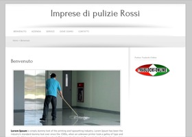 Pulizie01